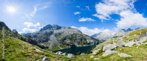 Summer landscape in Vall de Boi in Aiguestortes and Sant Maurici National Park, Spain