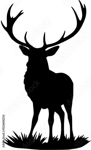 Black Silhouette of a Majestic Deer Standing Tall on Grass