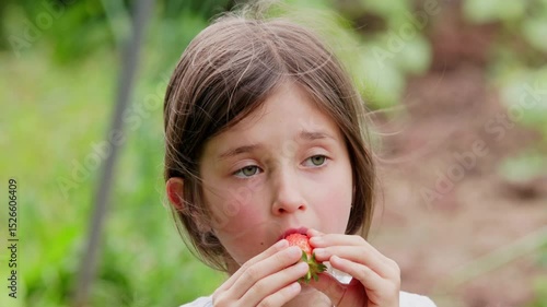 Little beautiful girl eats strawberries in a garden