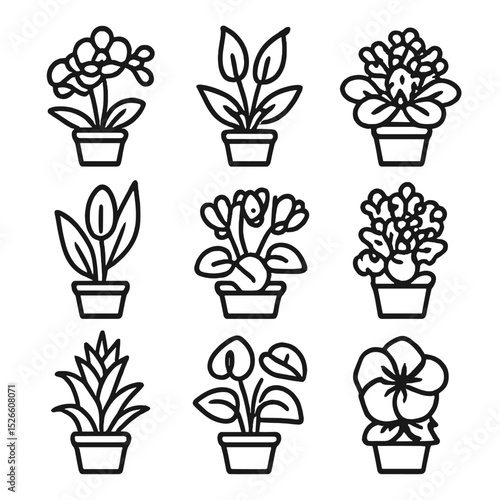 Indoor Flowering Plant Icons. Outline icon set of indoor flowering houseplants: orchid, peace lily, African violet, cyclamen,