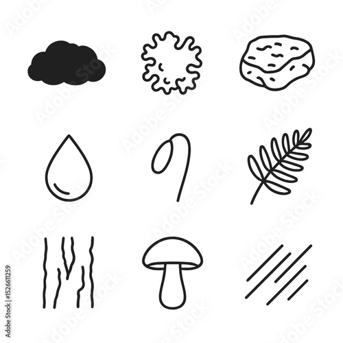 Moss and Lichen Icons. Outline icon set of moss and lichen carpets: moss cushion, lichen patch, rock surface, dew droplet, spore