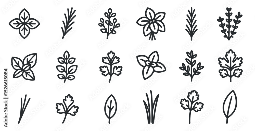 Fototapeta premium Assorted herb and leaf icons for botanical design and nature projects