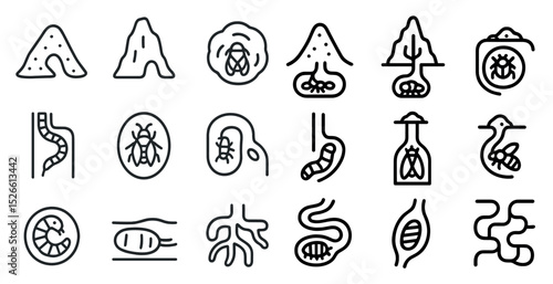 Insect anatomy and nature icons for educational and design use
