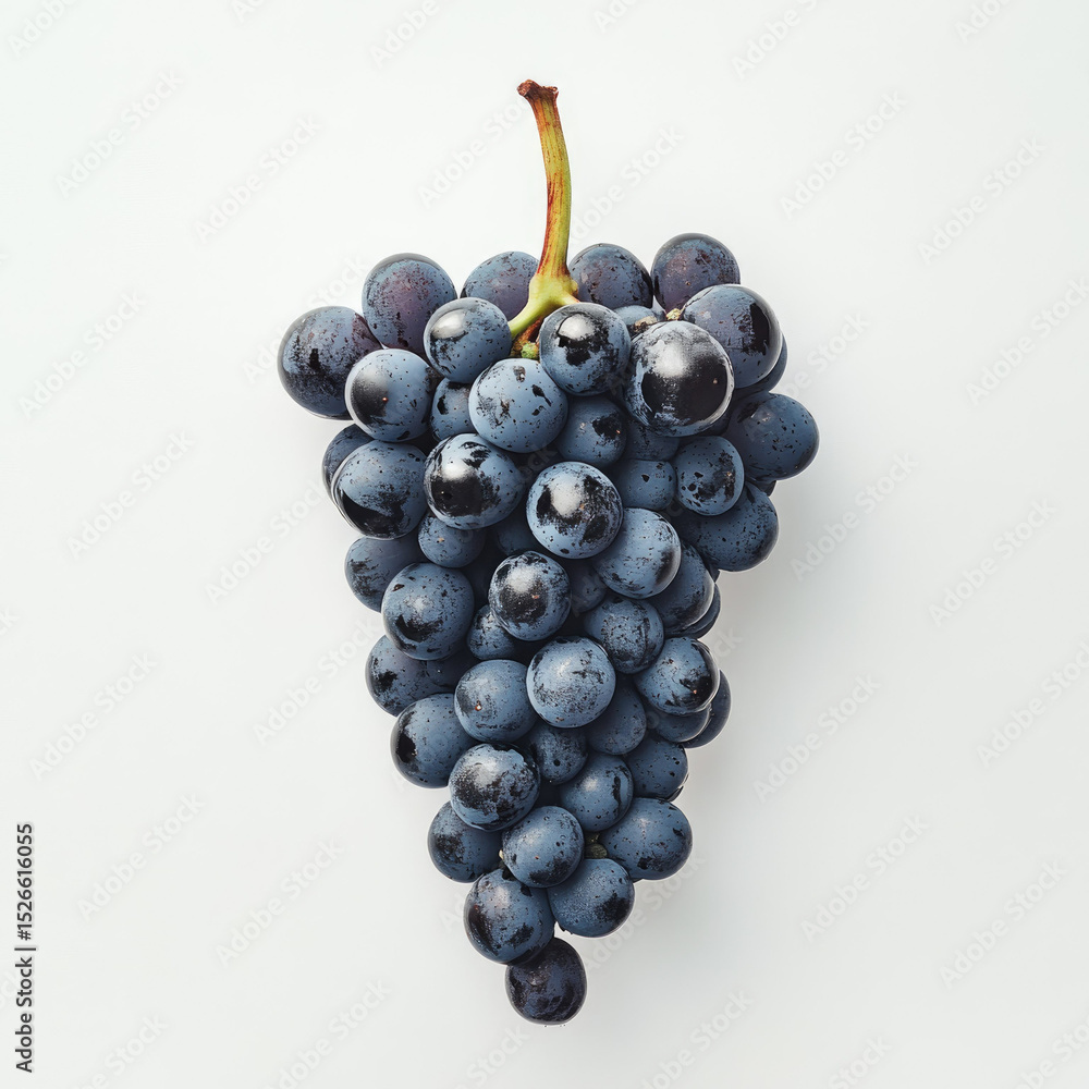 Fresh black grapes cluster isolated on white background Fresh black grapes cluster isolated on white background