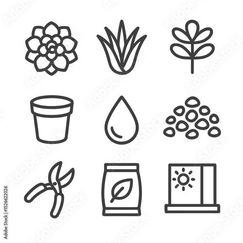 Succulent Care Icons. Outline icon set of succulent care: echeveria rosette, aloe vera, jade plant, small pot, watering droplet,