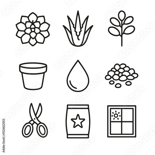 Succulent Care Icons. Outline icon set of succulent care: echeveria rosette, aloe vera, jade plant, small pot, watering droplet,