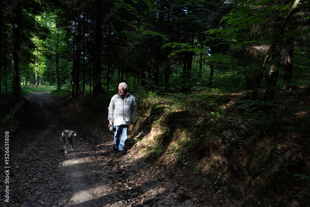 Obraz premium Senior man enjoying a peaceful walk with his dog on a sunny forest path, embracing the tranquility of nature in poland