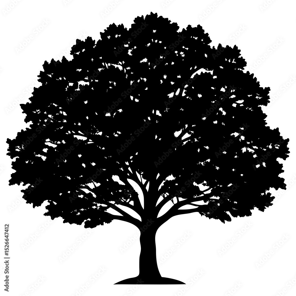Fototapeta premium vector tree silhouette