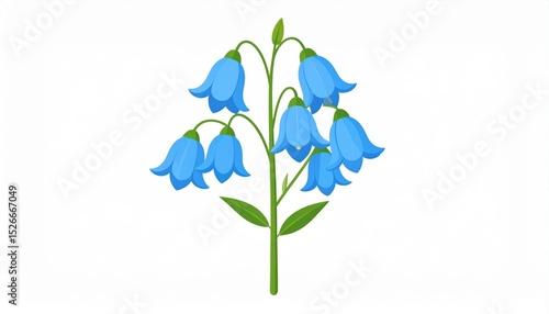 Blue Bellflower Illustration On White Background