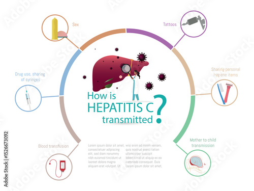 Doctor studying how hepatitis c virus is transmitted