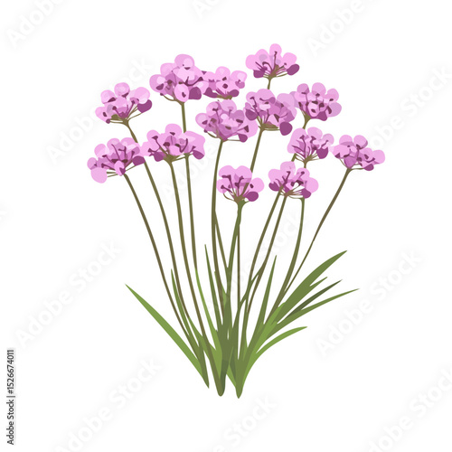 A Sea Thrift Bouquet illustration vector 2D flat, isolated on a white background.