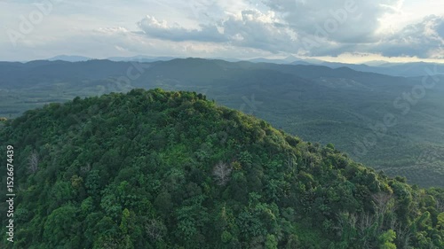 Dramatic morning sunrise over an Asian oil palm plantation. Golden light pierces through low mist, casting long shadows across neat rows of palm trees and creating a warm, cinematic landscape.