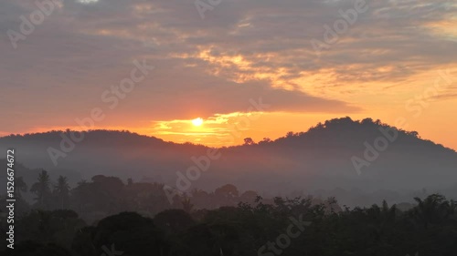Dramatic morning sunrise over an Asian oil palm plantation. Golden light pierces through low mist, casting long shadows across neat rows of palm trees and creating a warm, cinematic landscape.