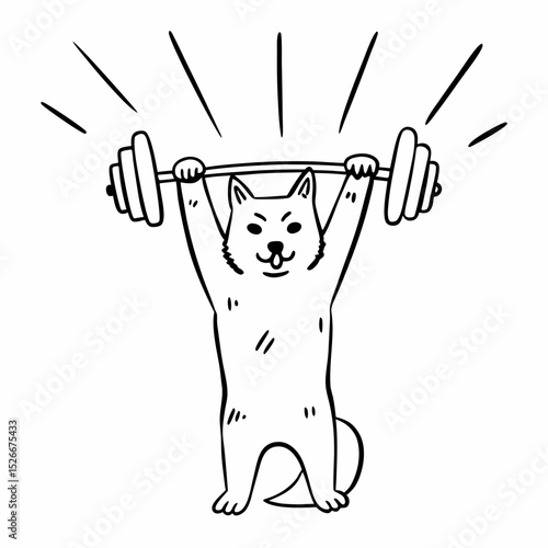 Vector cute shiba inu doing exercise holding a barbell
