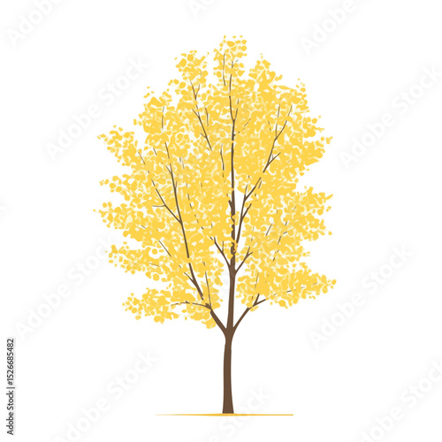 2D flat A Poplar Tree vector illustration, isolated on a white background.