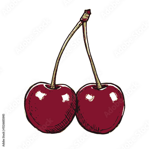 Ripe cherries connected by stems in hand-drawn illustration  