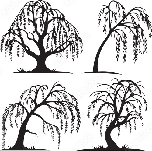 Silhouette willow trees