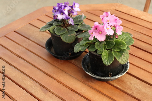 木製テーブルに置かれた鉢植えの花