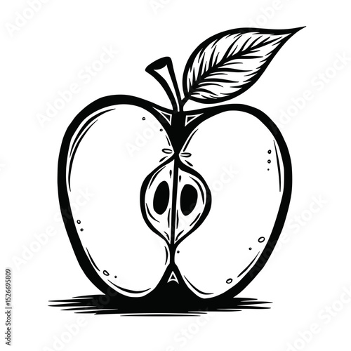 Apple cross section drawing, black and white, for educational content