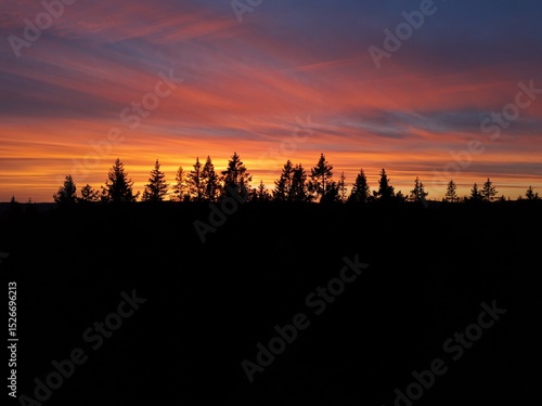 sunset over the woods