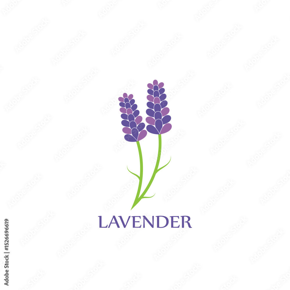 Obraz premium lavender logo and vector template