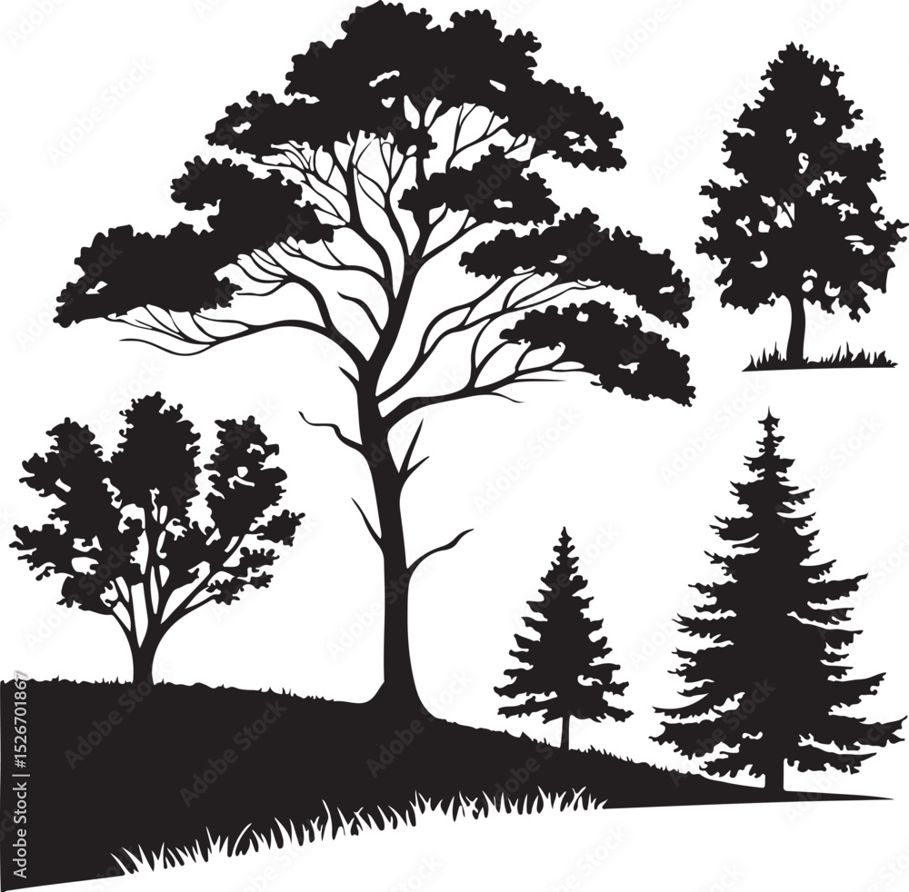 Fototapeta premium Silhouette Various trees
