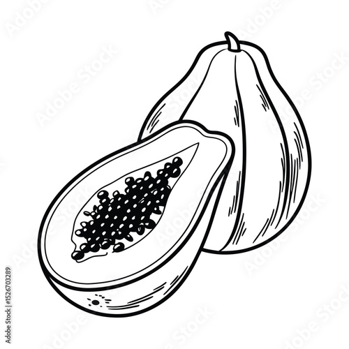 Tropical and Subtropical Fruits Coloring Book for Kids