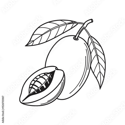 Tropical and Subtropical Fruits Coloring Book for Kids