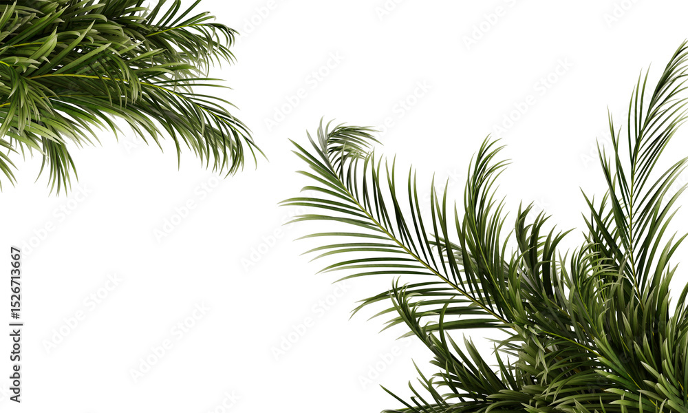 High quality with transparent background High quality with transparent background
