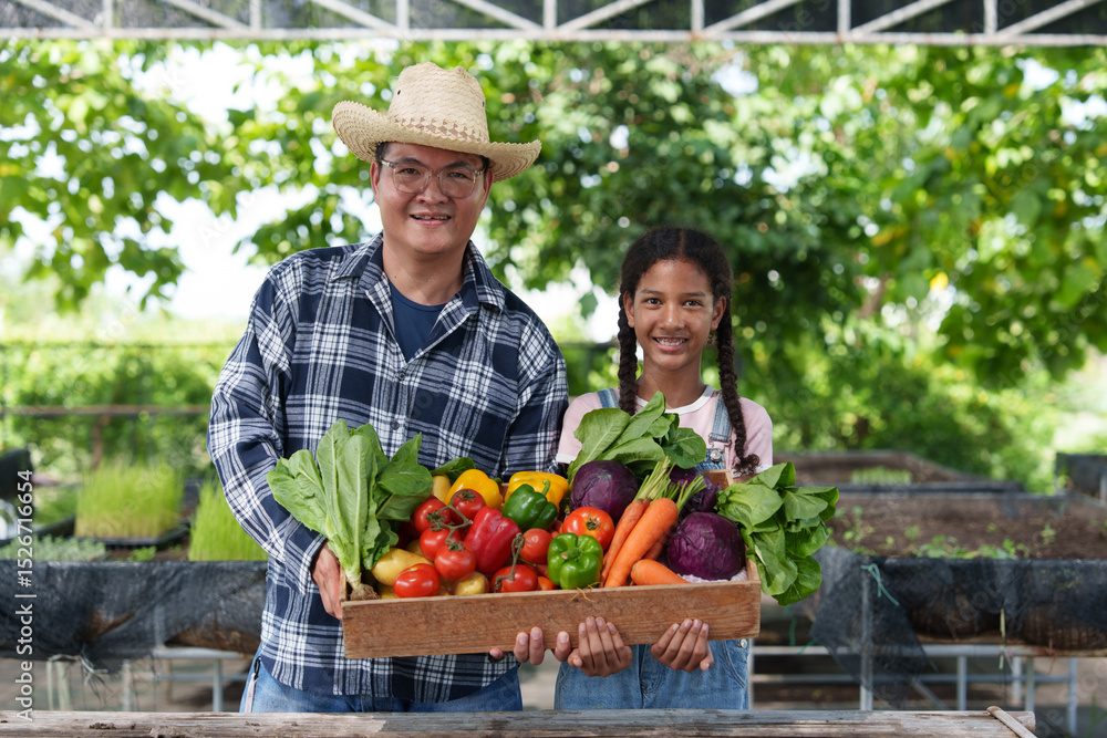Fototapeta premium Organic vegetable farmers father and daughter picking fresh vegetables in baskets, carrying wooden boxes of vegetables in the field. Fresh organic vegetables from local producers ready for transport.