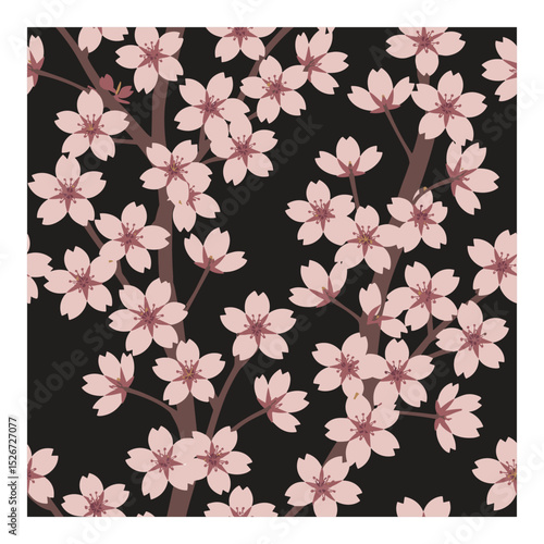 Cherry Blossom Design, Floral Pattern on Dark, Elegant Sakura Background, Elegant Cherry Blossom Pattern with Dark Background for Design