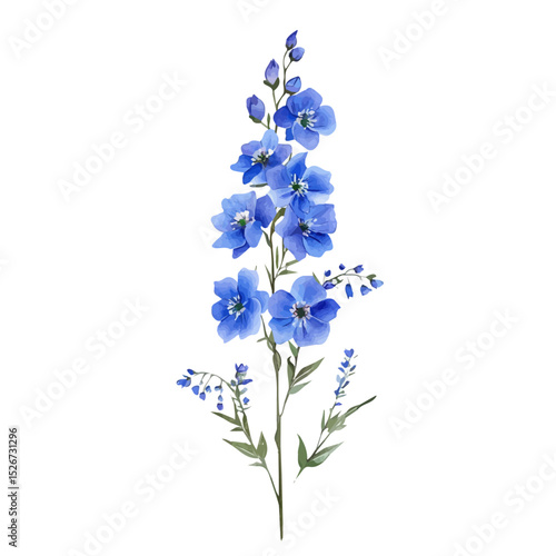 2D flat A Delphinium Stem Bouquet vector illustration, isolated on a white background.