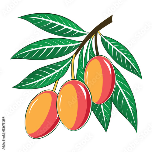 Tropical Mango Fruit: A Sweet and Fresh Illustration