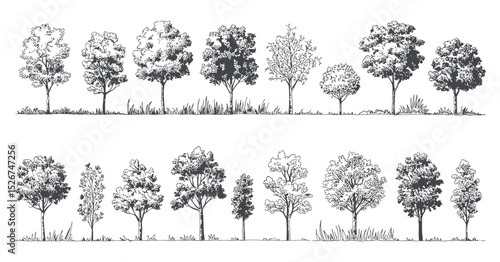 Hand Drawn Tree Silhouettes Set with Grass Black and White Vector Illustration for Landscaping and Forest Design Projects