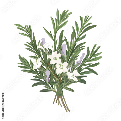 A Bog Rosemary Bouquet 2D flat vector illustration, isolated on a white background.
