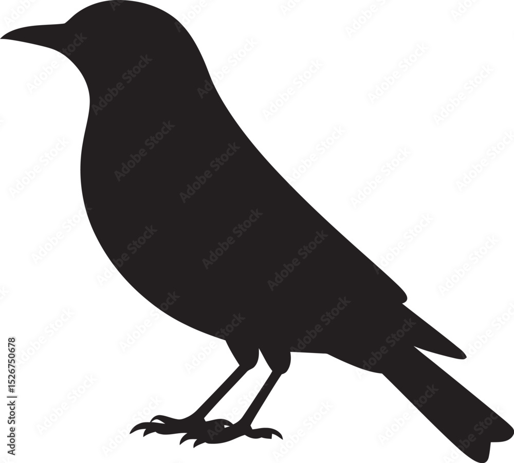 Fototapeta premium crow on white background
