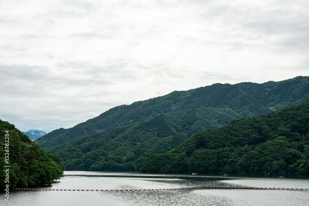 Obraz premium 群馬県みどり市の草木ダムと草木湖・新緑が映える春の絶景、渡良瀬川流域の美しい自然景観・観光や旅行に最適な癒しスポット