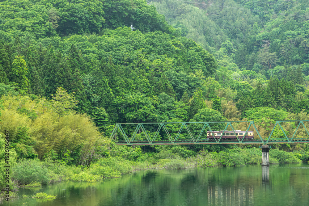Fototapeta premium 群馬県みどり市を走るわたらせ渓谷鉄道の列車と緑豊かな山々に囲まれた鉄橋の風景。草木湖周辺の自然に溶け込むような風景と鉄道旅情が感じられる、日本の初夏を彩る絶景。