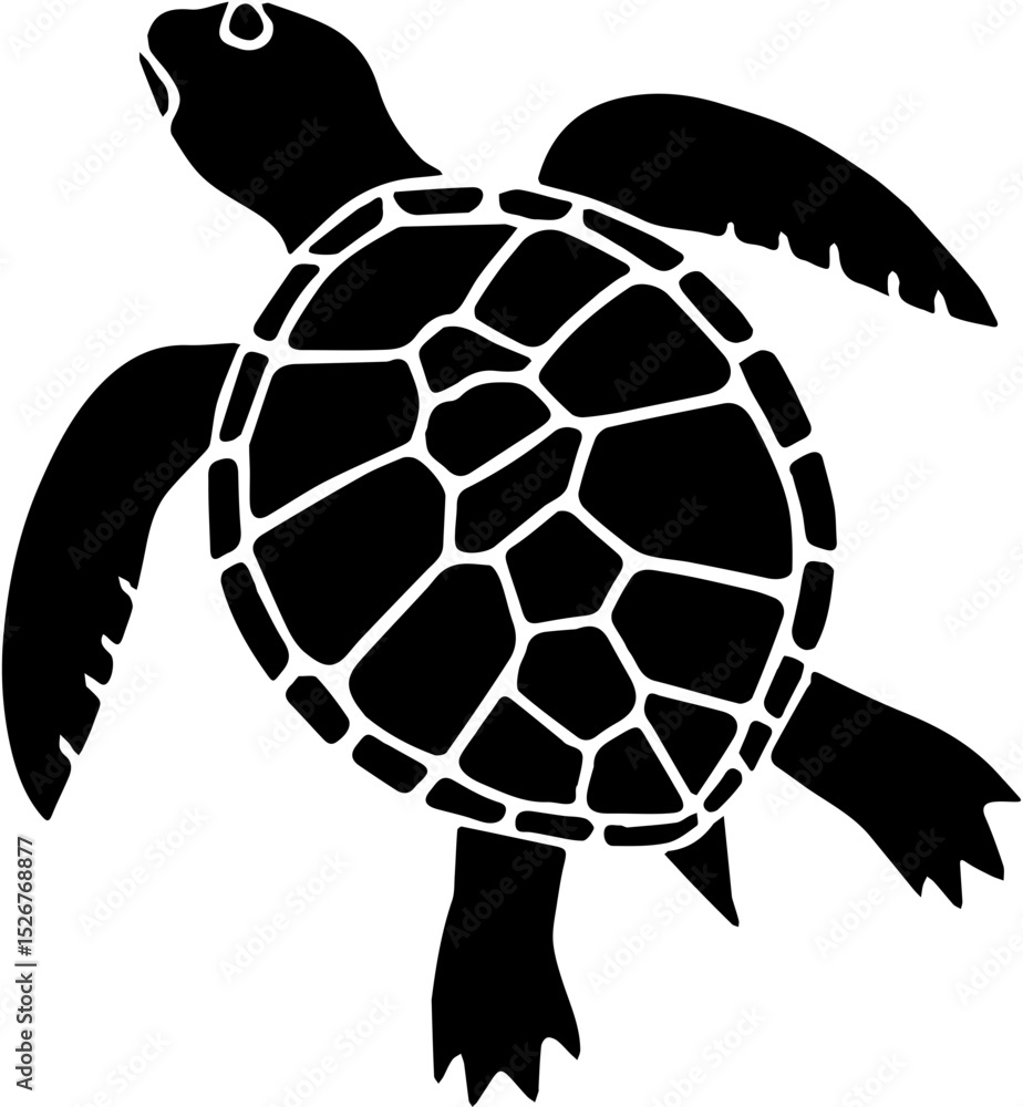 Obraz premium turtle vector illustration