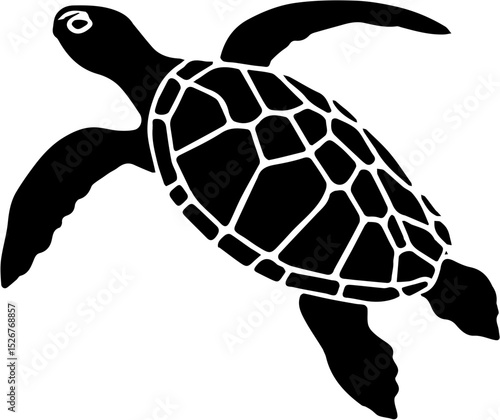 turtle vector illustration