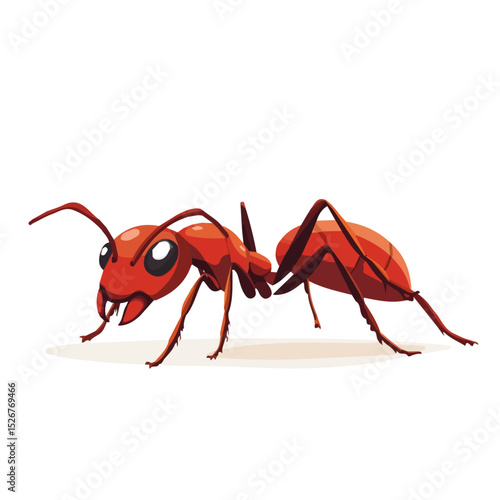 2D flat Ant Close Up vector illustration, isolated on a white background.