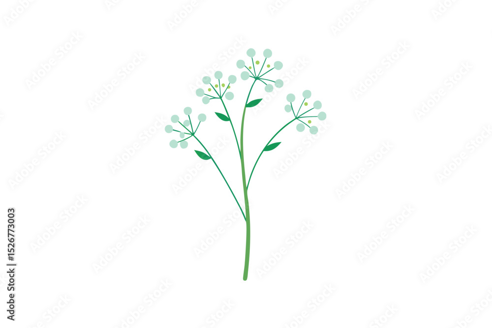 Fototapeta premium Dainty Baby Breath Delicate Floral Accent for Graceful Arrangements vector art illustration