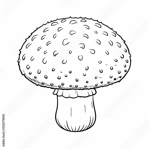 Detailed illustration of a puffball mushroom (Lycoperdon) in black and white