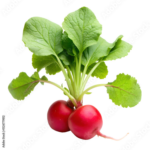  Radish with Leaf Fresh Root Vegetable Isolated on Transparent Background