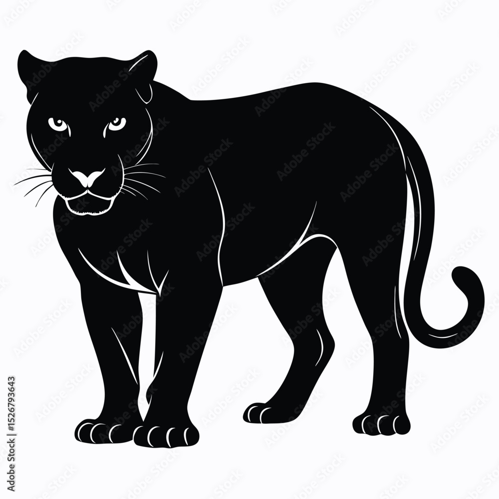 Obraz premium Majestic black panther silhouette wild cat animal