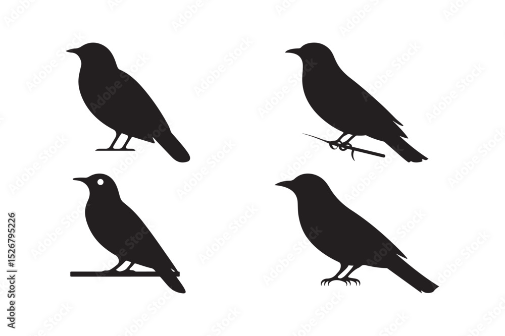 Obraz premium Bird Sitting Silhouettes