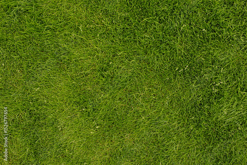 High-resolution image of lu...
