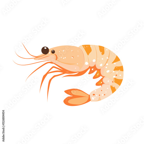 Cartoon-style shrimp illustration