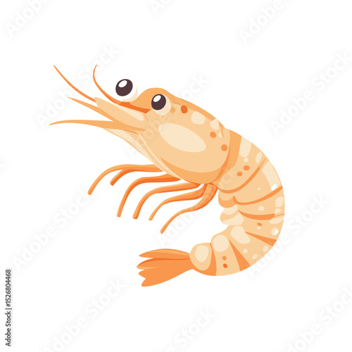 Cartoon-style shrimp illustration