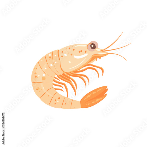 Cartoon-style shrimp illustration